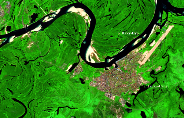 Рис. 3. Фрагмент Sentinel-2A от 08.08.2025, Тарко-Сале 