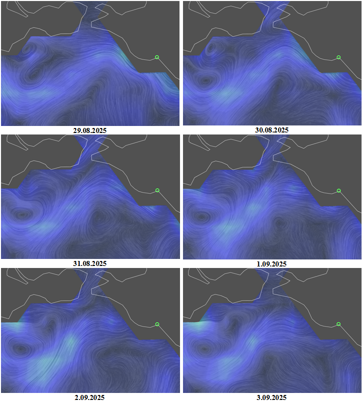 Рис. 7. Поле геострофических течений (данные модели Global Ocean Physics Analysis and Forecast, на 12:00 UTC) в северо-восточной части Черного моря с 29.08 по 3.09. 2025, которое способствовало выносу нефтяного пятна в открытое море (кружком показан Новороссийск) © Copernicus Marine Environment Monitoring Service 