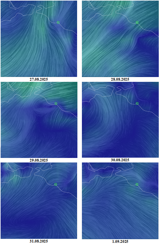Рис. 6. Поля ветра (реанализ GFS/NCEP/US National Weather Service, на 12:00 UTC) над северо-восточной частью Черного моря с 27.08 по 1.09.2025 (кружком показан Новороссийск) © NOAA 